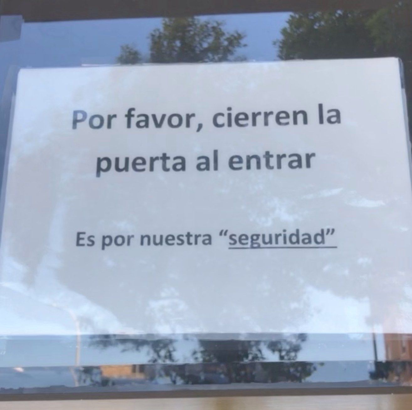 SEGURIDAD