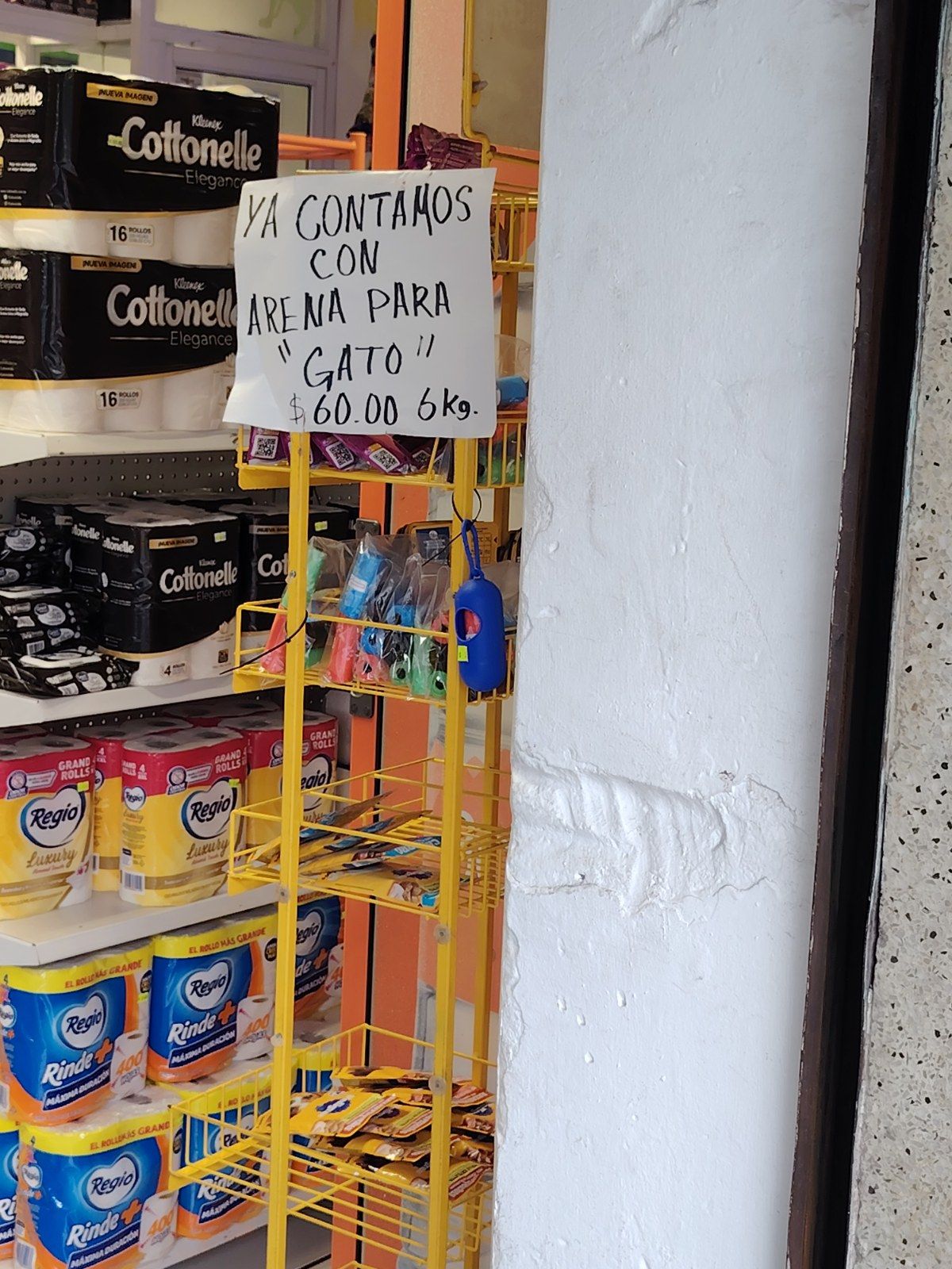 Gato
