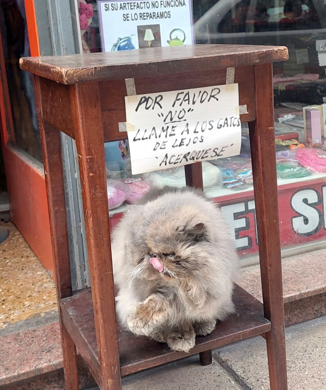 NO ACÉRQUESE